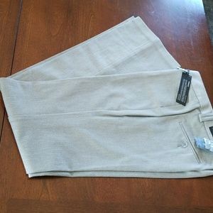Express editor style dress pant